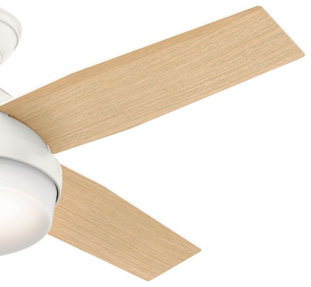 Hunter Fan Company 44" Dempsey Fresh White Ceiling Fan With Light/Remote
