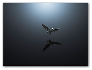 Heaven Sent' Canvas Wall Decor