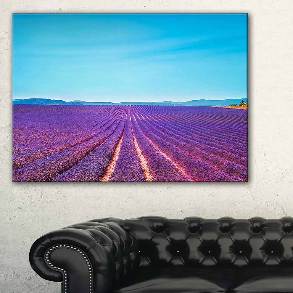 "Lavender Flowers And Clear Sky" Landscape Wall Art Print, 32"x16"