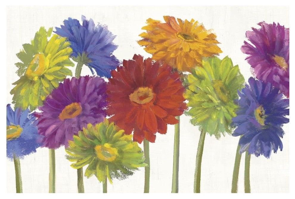 "Colorful Gerbera Daisies" Digital Paper Print by Carol Rowen, 32"x22"