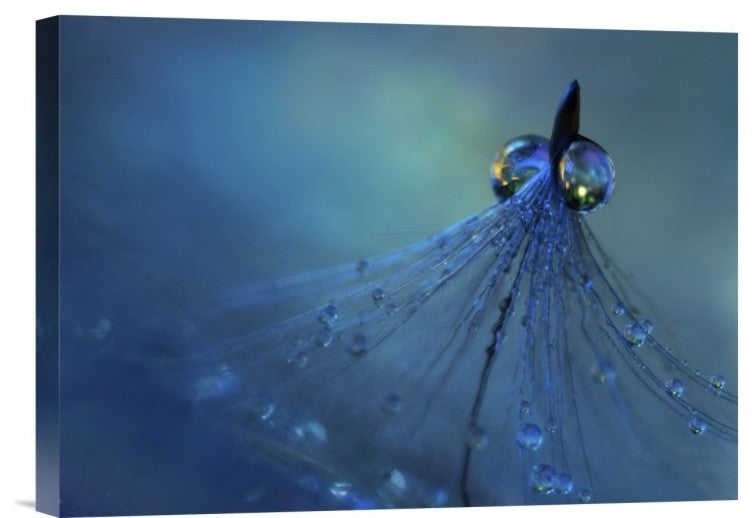 "Dancing Into The Blue Night" Stretched Canvas Giclee by Heidi Westum, 16"x12"