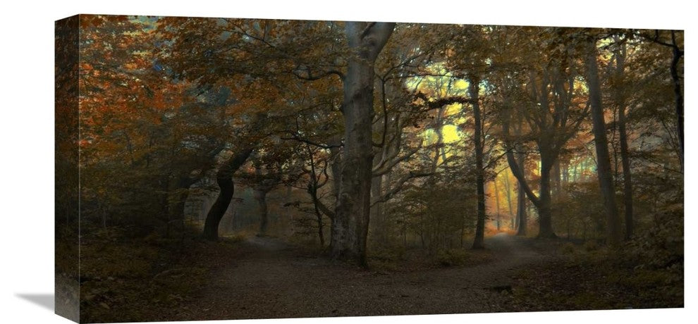 "Which Path" Stretched Canvas Giclee by Leif Londal, 22x11"
