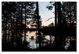 Nicole Dietz 'Sunset Through The Trees' Canvas Art, 47x30