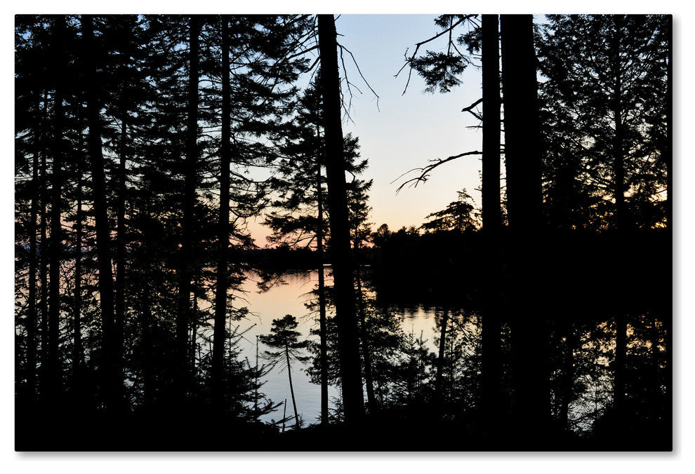 Nicole Dietz 'Sunset Through The Trees' Canvas Art, 47x30