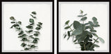 Eucalyptus Leaves Diptych, 24"x12"