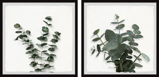 Eucalyptus Leaves Diptych, 24"x12"