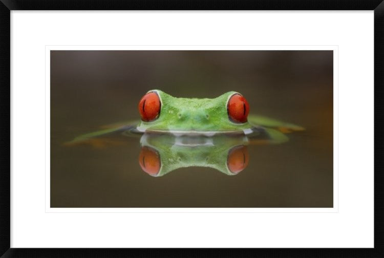 "Burning Eyes" Framed Digital Print by Kutub Uddin, 30"x20"