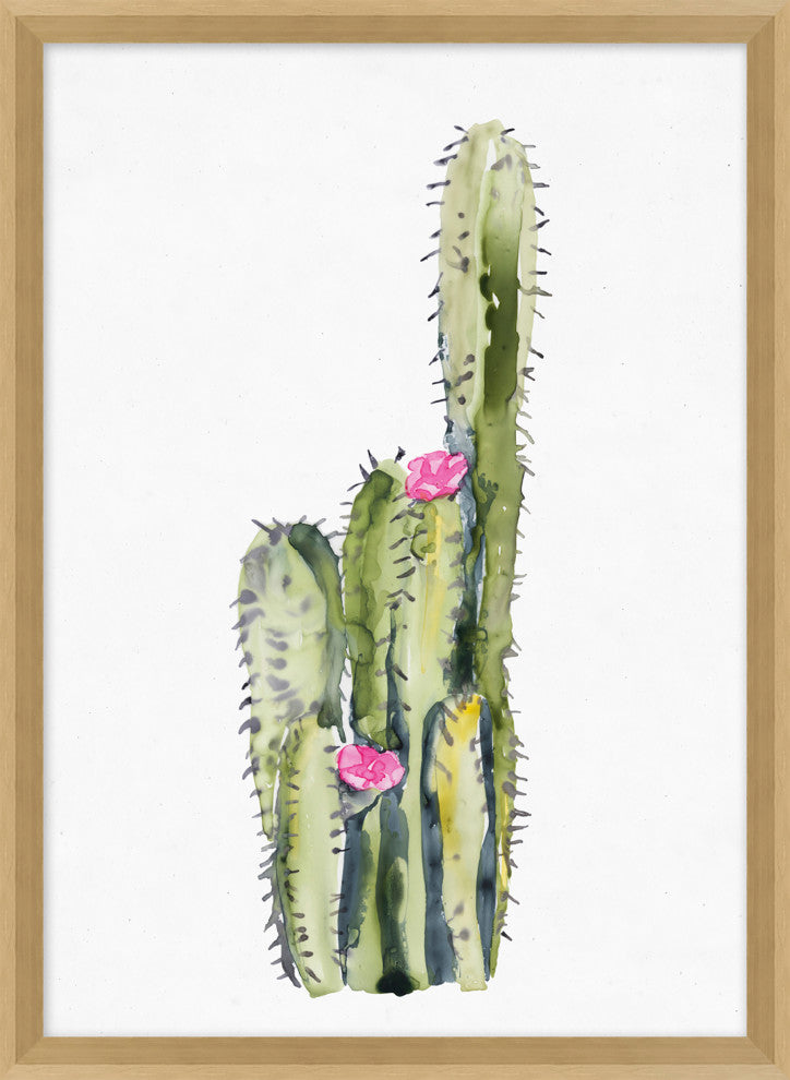 Pink Blooming Cacti 3