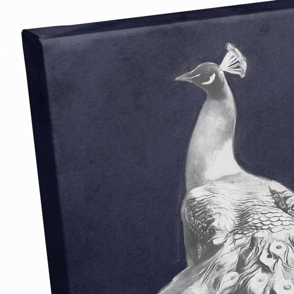 Glorious White Peacock 11x14 Canvas Wall Art