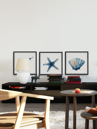 Starfish and Shells Triptych, 3-Piece Set, 12x12 Panels