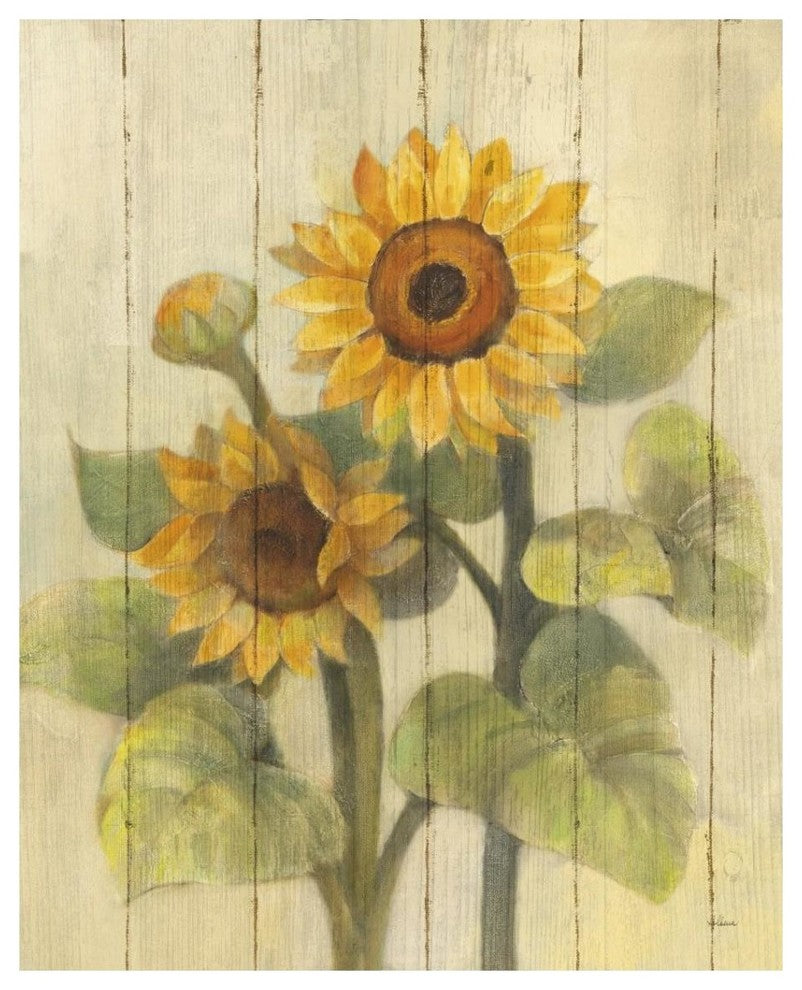 "Summer Sunflowers II on Barn Board" Paper Print by Albena Hristova, 30"x37"