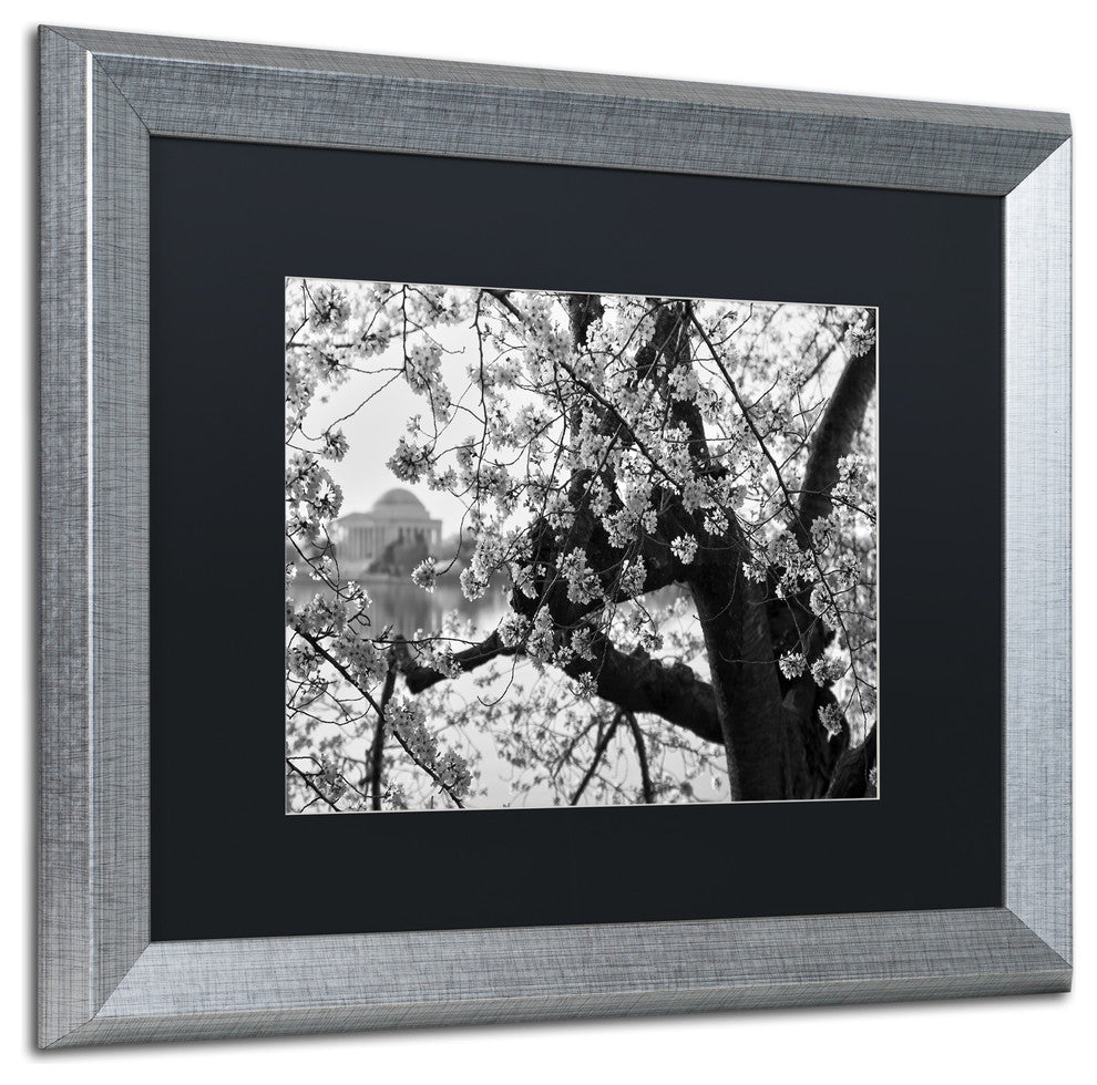 CATeyes 'Blossoms BW' Matted Framed Art, Silver Frame, Black Mat, 20x16
