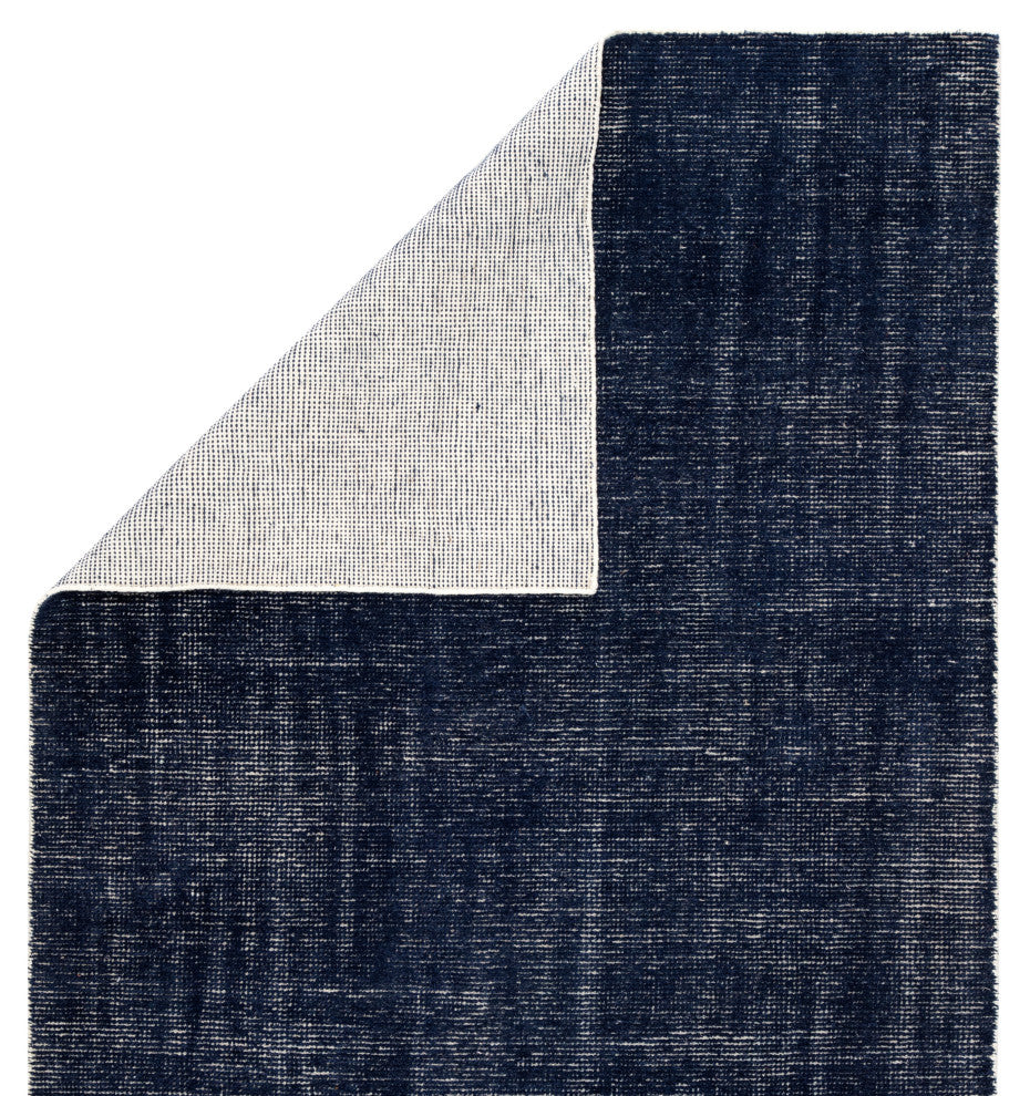 Jaipur Living Limon I-O Solid Blue Rug, 9'x12'
