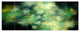 Perfect Green Starry Sky, Abstract Canvas Wall Art, 70"x28", 6 Panels