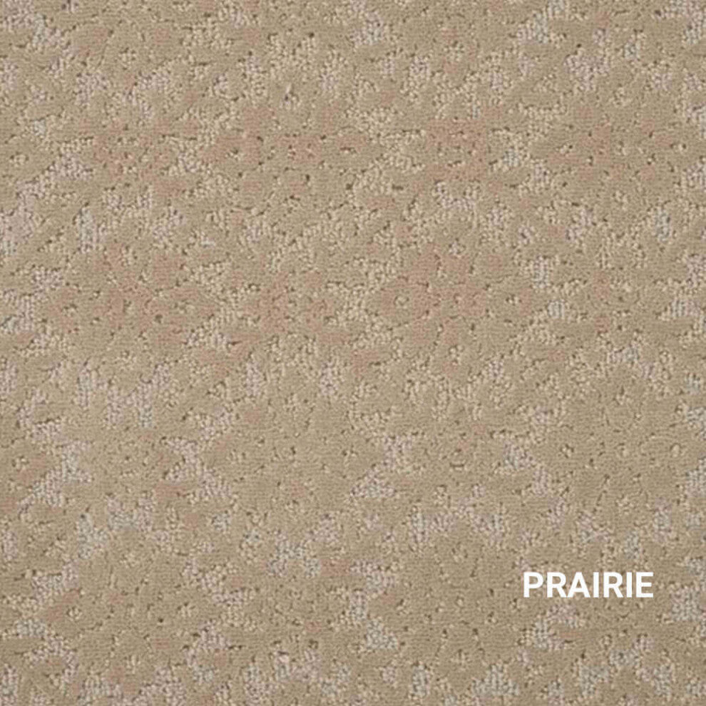 Graphique Area Rug Accent Rug Carpet Runner Mat, Prairie, 4x12