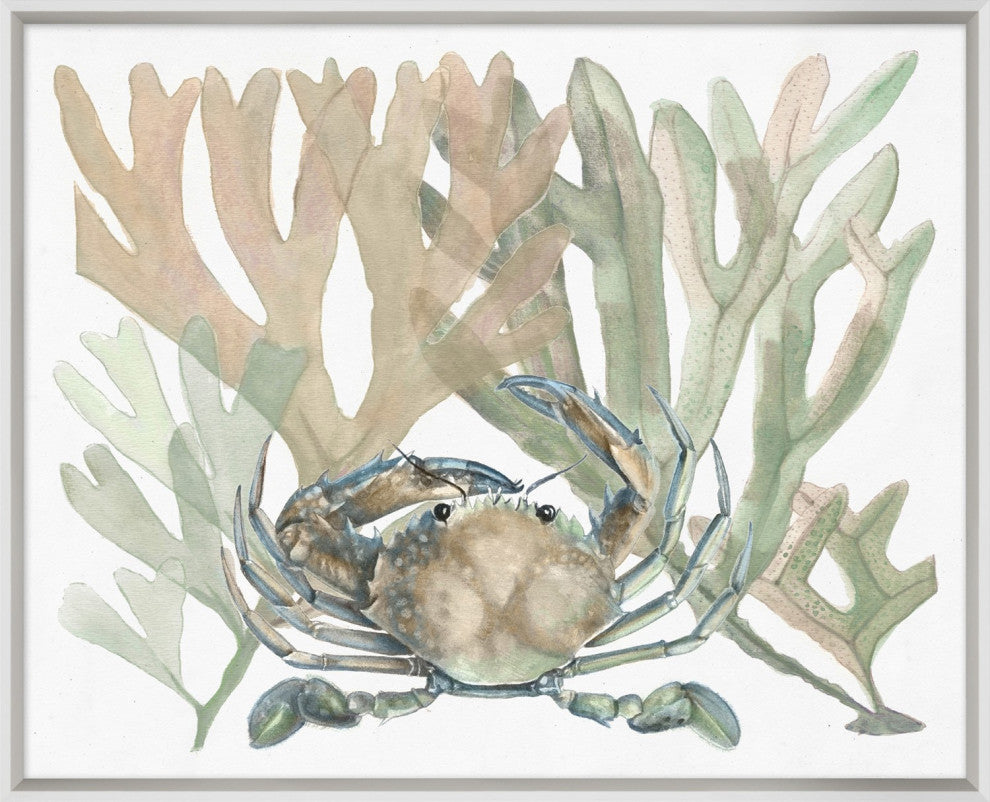Aquatic Assortment 8, Giclee Reproduction Artwork