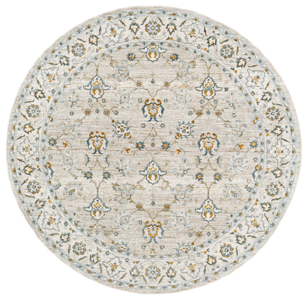 Surya Dresden DRE-2311 Machine Woven Area Rug, Taupe, 2' x 2'11"