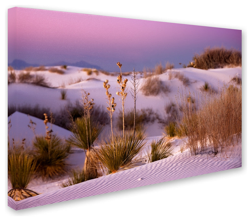 Mike Jones Photo 'White Sands Dusk' Canvas Art, 30x47