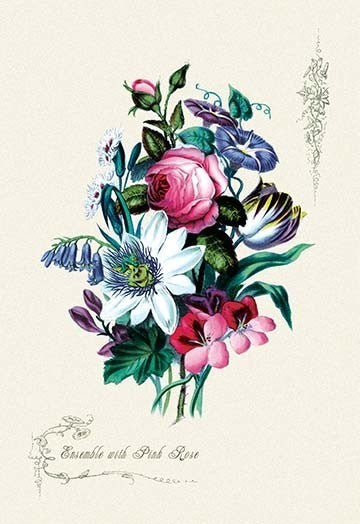 Ensemble with Pick Rose - Framed Paper Poster 20" x 30"