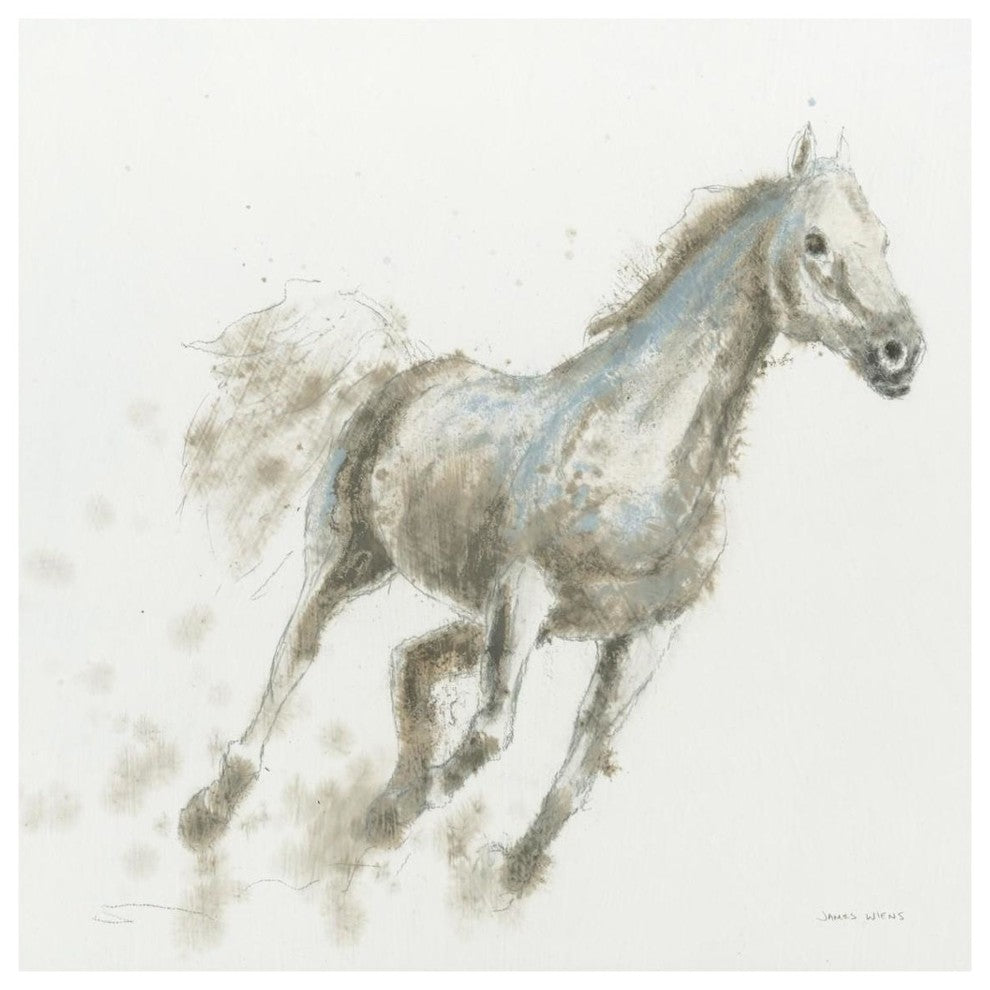 "Stallion I" Digital Paper Print by James Wiens, 38"x38"