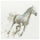 "Stallion I" Digital Paper Print by James Wiens, 38"x38"