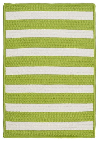 Stripe It TR29 Bright Lime Indoor/Outdoor Area Rug, Rectangular 2'x4'