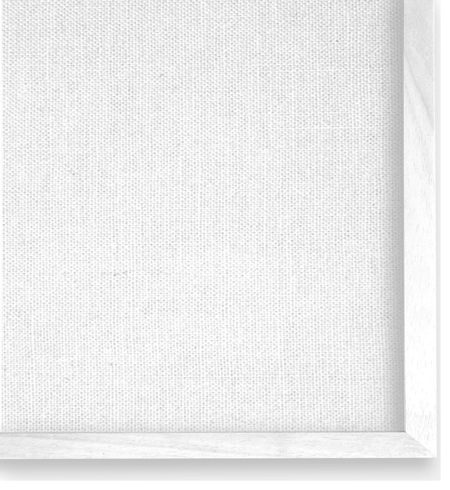 Serene Blue Seashell Clam Simple Design, 2pc, each 24 x 24