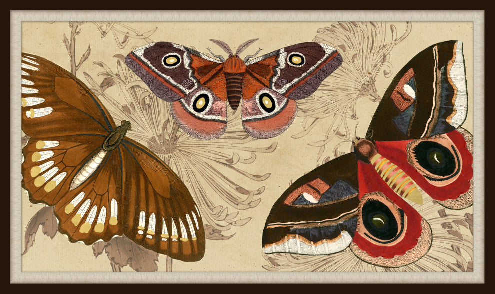 Butterfly Detail 2, Giclee Reproduction Artwork