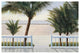 "Palm Bay" Digital Paper Print by Diane Romanello, 38"x26"