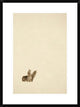 Timber Wolf Pair Howling In Snow, North America, Sepia, 22"x30"