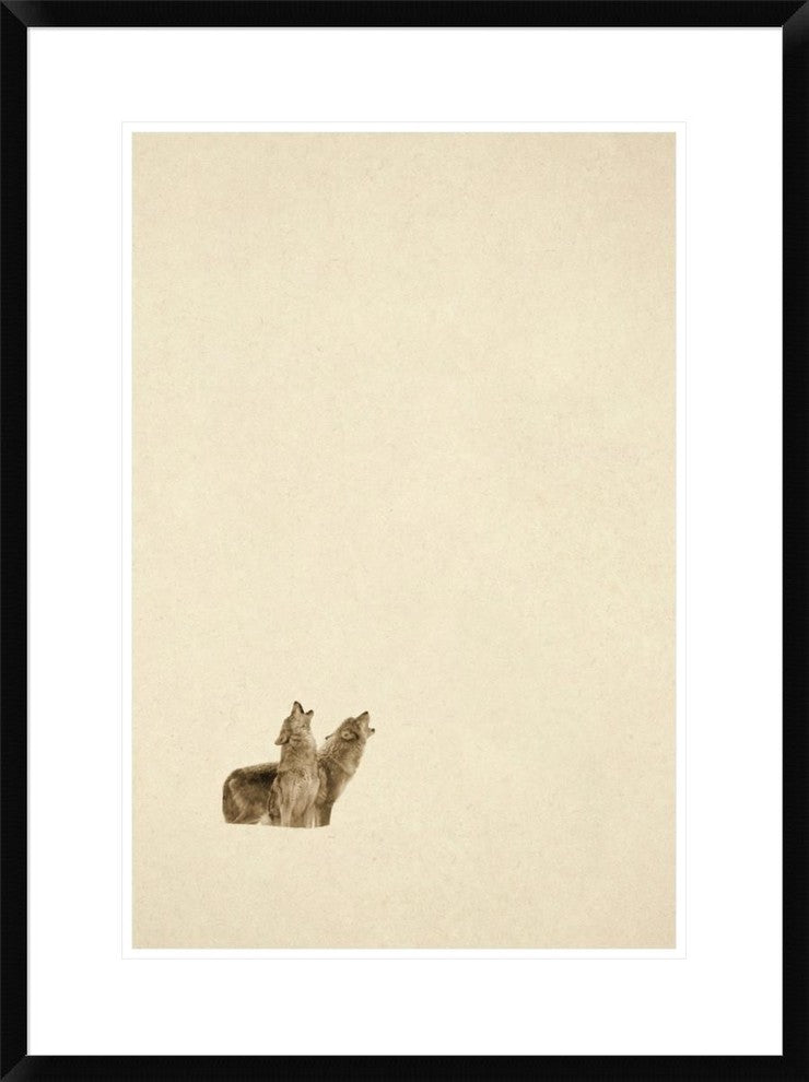 Timber Wolf Pair Howling In Snow, North America, Sepia, 22"x30"