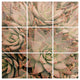 Deny Designs Bree Madden Succulent Wood Wall Mural, 3'x3'