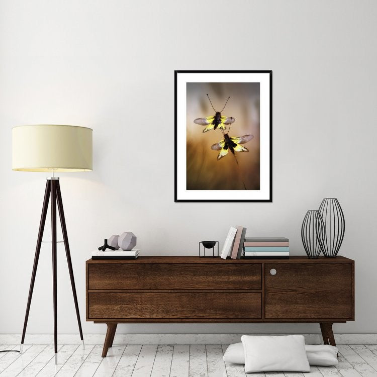 "Owlflies" Framed Digital Print by Jimmy Hoffman, 32x44"