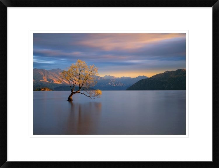 "Morning Glow" Framed Digital Print by Renee Doyle, 26"x20"