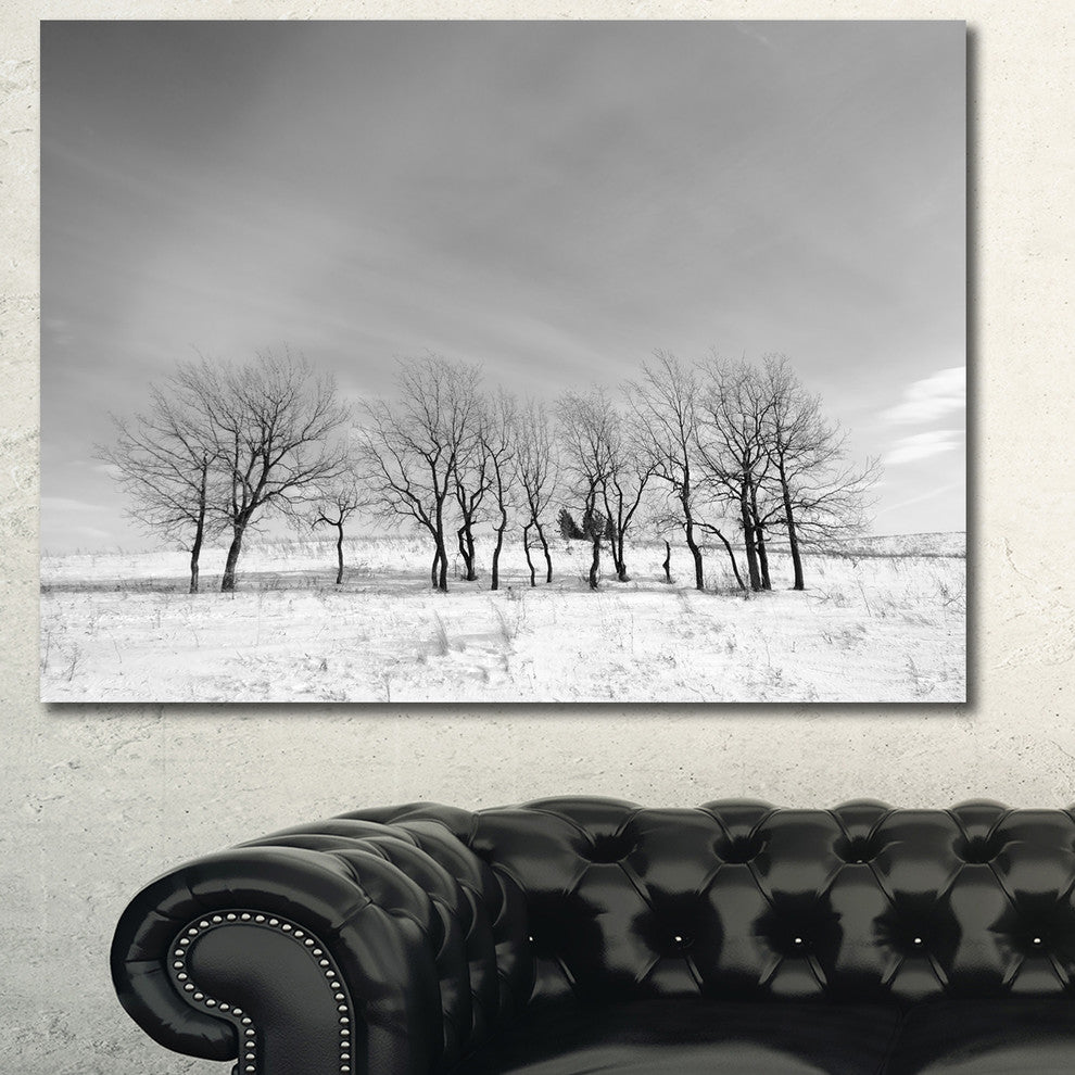 Black and White Trees in Winter, Landscape Canvas Art Print, 60x40