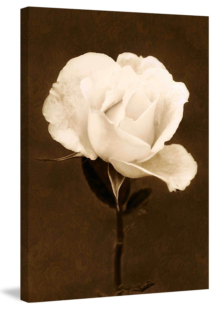 "Petals and Perfume" Painting Print on Canvas by Robertson