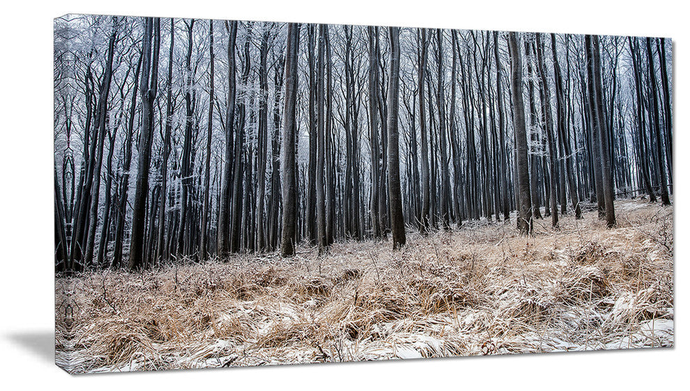 Moody Cold Forest with Thick Woods, Forest Canvas Art Print, 32"x16"