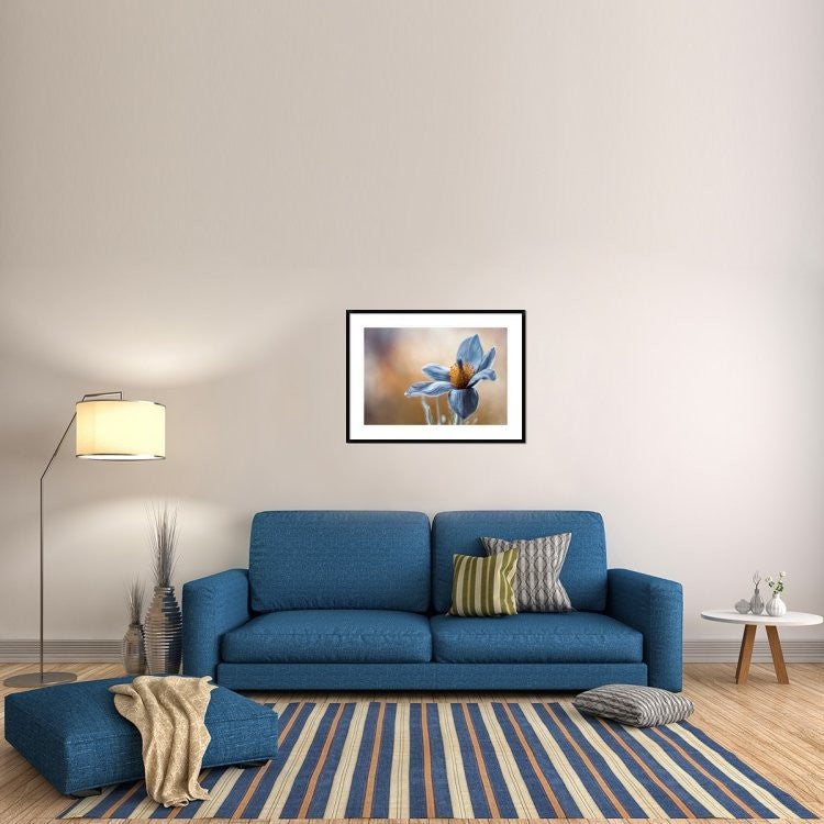 "Pasque" Framed Digital Print by Mandy Disher, 38"x28"