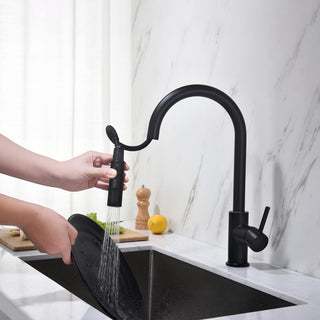 Circular Single Handle Pull Down Kitchen Faucet, Matte Black
