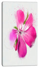 Full Bloom Pink Flower Watercolor, Floral Canvas Art Print, 16"x32"