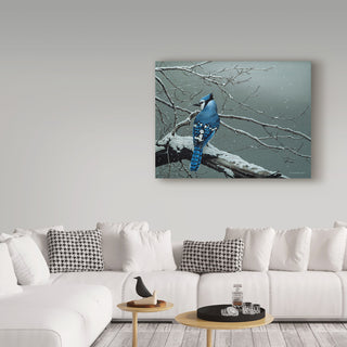 Ron Parker 'Winter Jay' Canvas Art, 32"x24"