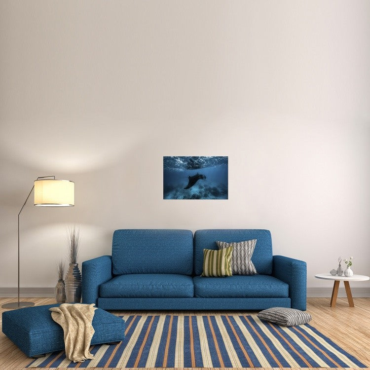 "Manta Ray" Stretched Canvas Giclee by Barathieu Gabriel, 30"x20"