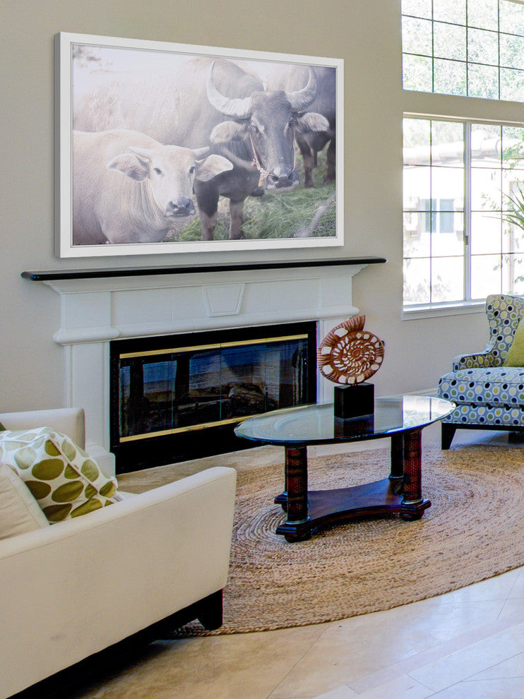Marmont Hill, "Curious Bovines" Framed Painting Print, 24x16