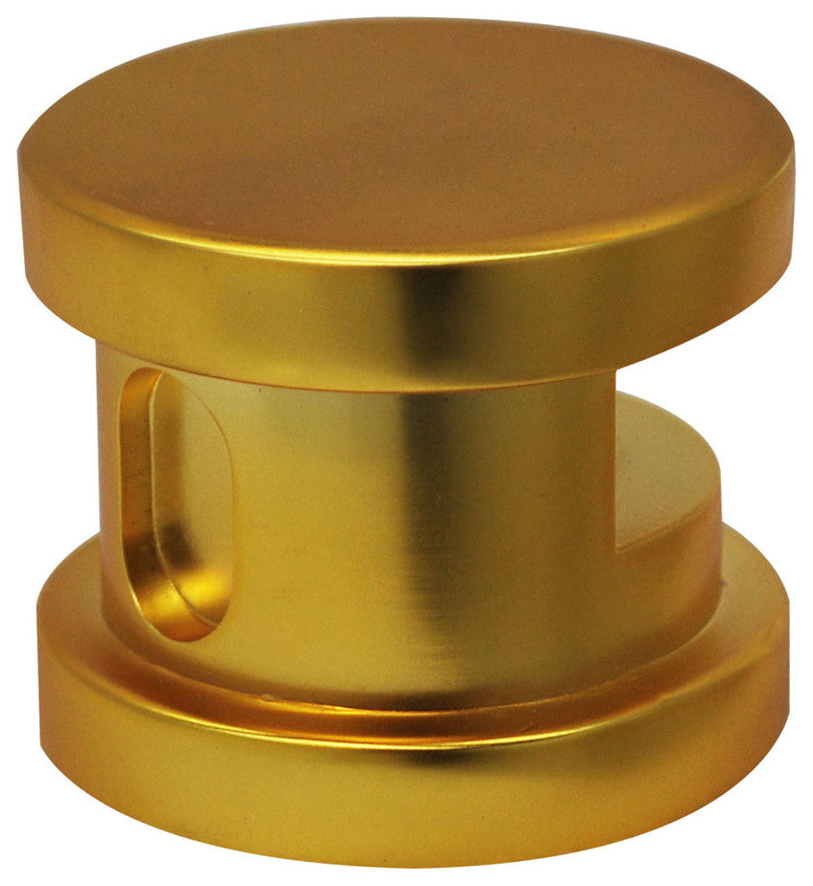 SteamSpa Steamhead with Aromatherapy Reservoir in Polished Gold