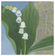 "Lilies of the Valley II" Digital Paper Print by Kathrine Lovell, 20"x20"