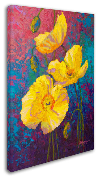 Marion Rose 'Yel Poppies' Canvas Art, 19 x 12
