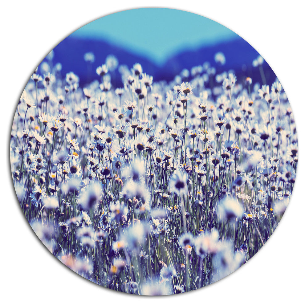 Amazing Light Blue Chamomile Blossom, Flower Round Metal Wall Art, 23"
