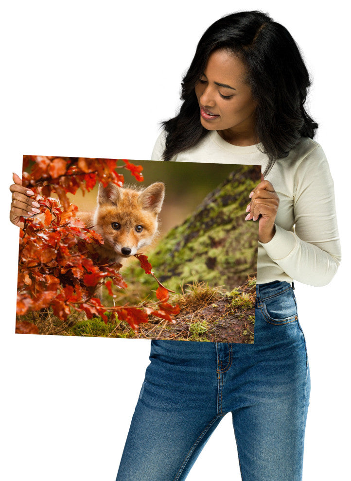 Baby Red Fox Face and Autumn Leaves Animal Wildlife Photo Loose Wall Art Print, 12" X 16"