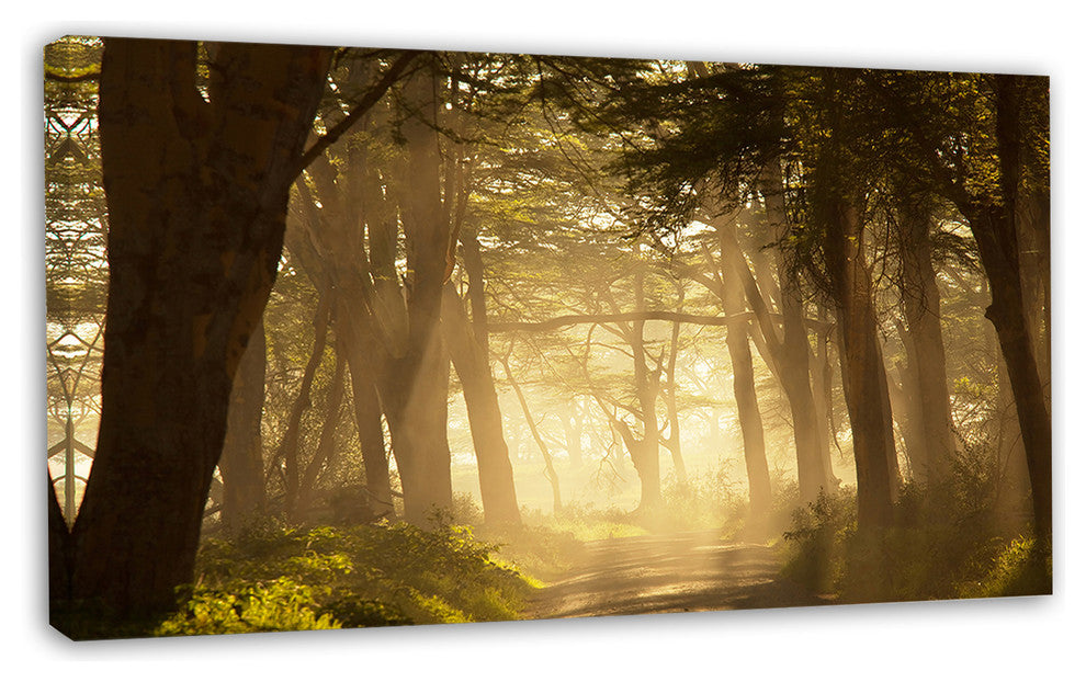 Deep Jungle with Foggy Sunlight, Oversized Landscape Canvas Art, 32"x16"