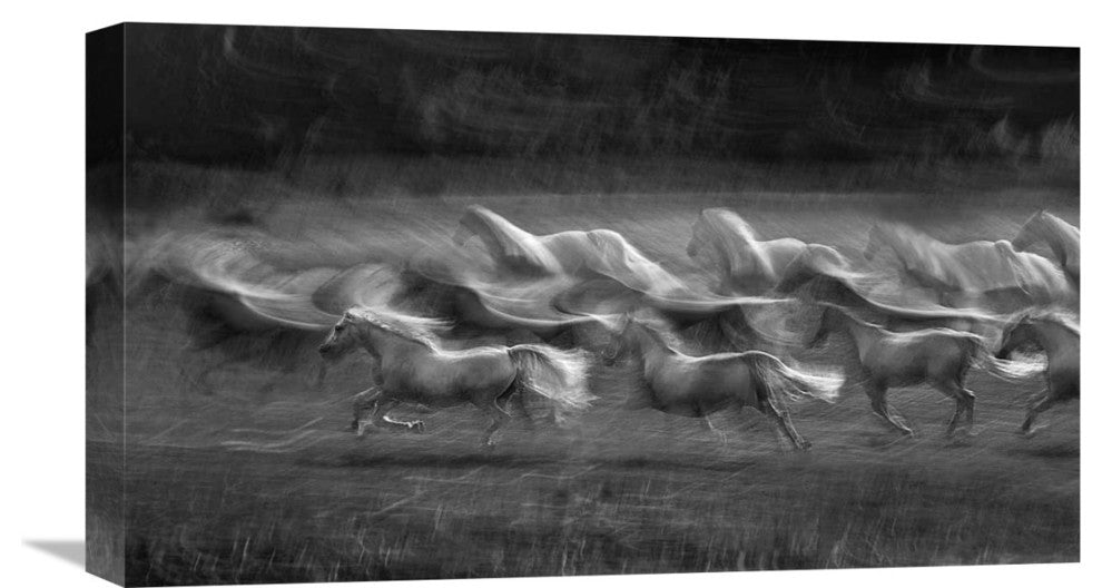 "Stampedo" Stretched Canvas Giclee by Milan Malovrh, 22"x13"